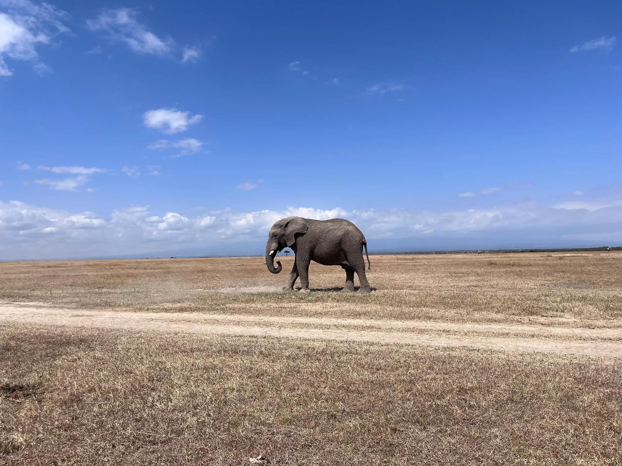 Kenya Volunteer